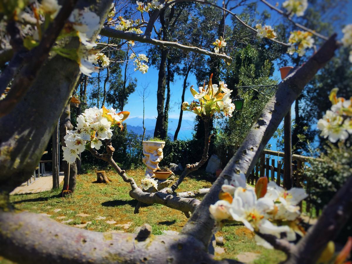 B&B Miramare 아제롤라 외부 사진
