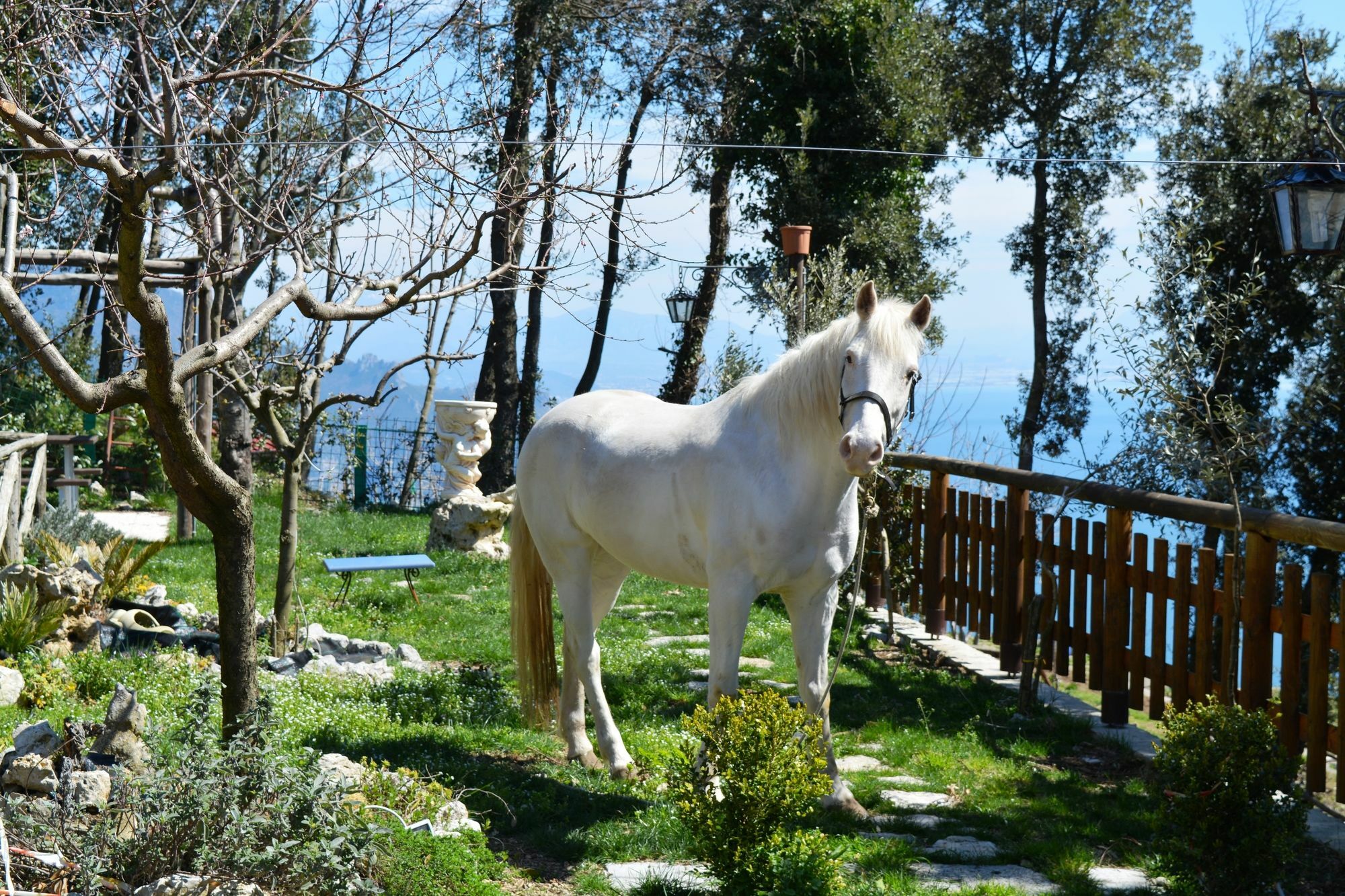 B&B Miramare 아제롤라 외부 사진